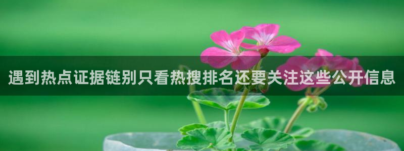 最新网络热点