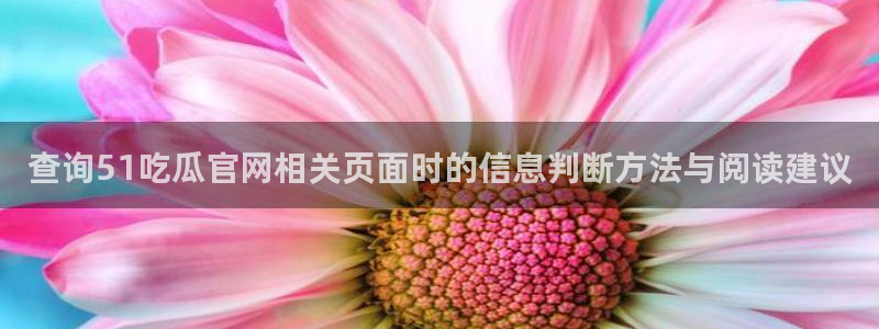 51吃瓜网站入口