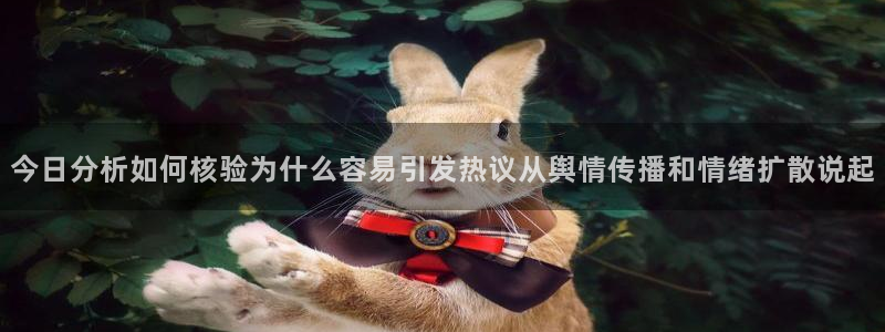 今日吃瓜