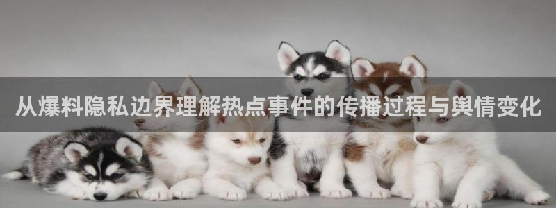 每日热门资讯