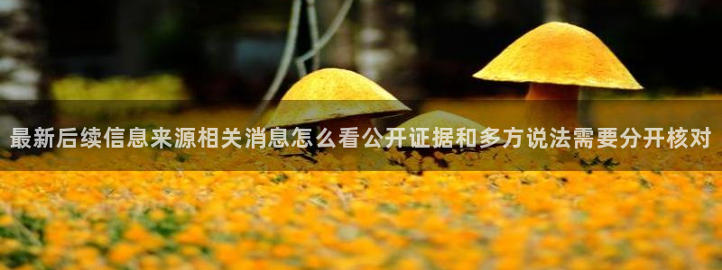 51吃瓜信息大全