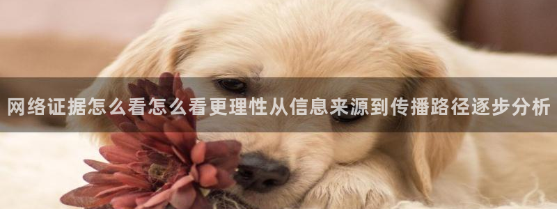 吃瓜最新入口